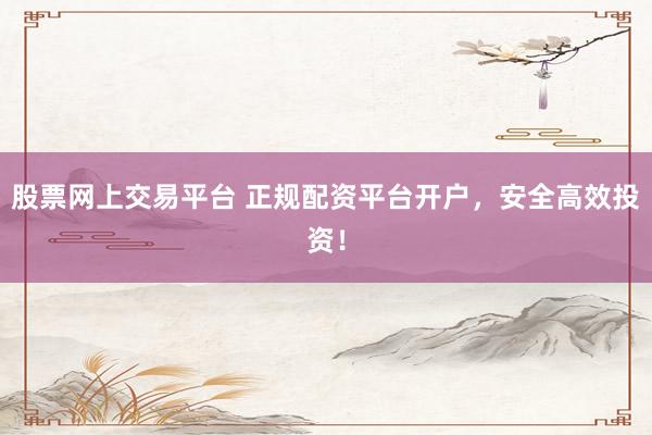 股票网上交易平台 正规配资平台开户，安全高效投资！