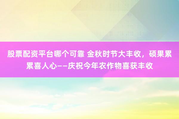 股票配资平台哪个可靠 金秋时节大丰收，硕果累累喜人心——庆祝今年农作物喜获丰收
