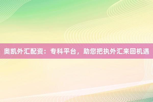 奥凯外汇配资：专科平台，助您把执外汇来回机遇